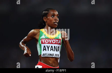 (150830)--Peking, 30. August 2015 (Xinhua)--Gewinner Äthiopien Almaz Ayana konkurriert während der Frauen 5000 m Finale bei den 2015 IAAF World Champships in das "Vogelnest" Nationalstadion in Peking, Hauptstadt von China, 30. August 2015. (Xinhua/Li Gang) Stockfoto