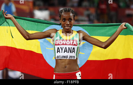 (150830)--Peking, 30. August 2015 (Xinhua)--Äthiopiens Almaz Ayana feiert nach dem Gewinn der Frauen 5000 m Finale bei den 2015 IAAF World Champships in das "Vogelnest" Nationalstadion in Peking, Hauptstadt von China, 30. August 2015. (Xinhua/Wang Lili) Stockfoto