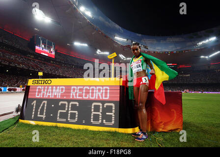 (150830)--Peking, 30. August 2015 (Xinhua)--Äthiopiens Almaz Ayana posiert mit "Championship Record" Board nach dem Gewinn der Frauen 5000 m Finale bei den 2015 IAAF World Champships in das "Vogelnest" Nationalstadion in Peking, Hauptstadt von China, 30. August 2015. (Xinhua/Wang Lili) Stockfoto