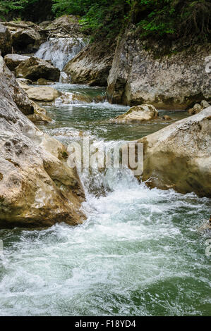 Wasserfall im Wald am Berge Stockfoto