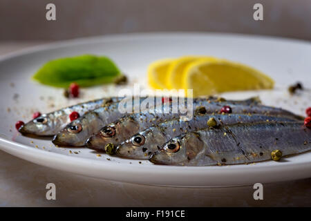 Frische Sprotten Fisch, selektiven Fokus. Gesunde Ernährung, Diät oder Koch-Konzept Stockfoto
