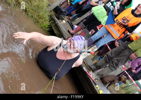 Llanwrtyd Wells, Powys, Wales - Sonntag, 30. August 2015 - Wettbewerber Jayne Williams aus San Francisco USA ihr Schnorcheln startbereit Herausforderung am diesjährigen 30. Weltmeisterschaft Bog Schnorcheln. Stockfoto