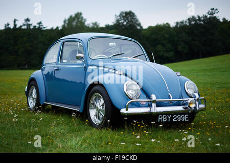 Vintage blau Volkswagen VW Käfer Auto in einem Feld von Gras und Blumen Stockfoto