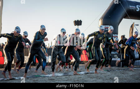 Teilnehmer des Ironman Triathlon startete das Rennen in der Brandung, Amager Strandpark, Kopenhagen, Dänemark Stockfoto