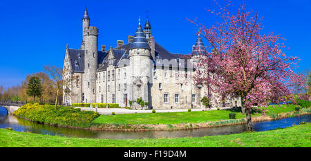 schöne mittelalterliche Burg Marnix de Sainte-Aldegonde in Bornem, Belgien Stockfoto