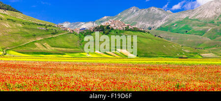 blühende Felder im Gebirge Sibilini und Hill Top Dorf Castelluccio di Norcia Stockfoto