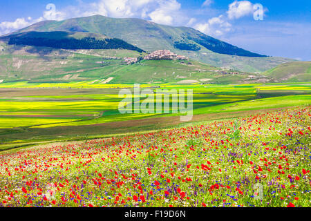 blühende Felder in Bergen Sibilini und Dorf Castelluccio di Norcia Stockfoto