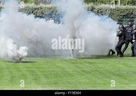 ALCALA DE HENARES, Spanien - 29. August 2015: Unbekannte Gruppe von spanischen Polizisten machen eine Show in Alcalá De Henares, am 29. August 2015. Armee -Korps von Spanien getan haben eine Show während der Messen von Alcala De Henares. Bildnachweis: Russet Apfel/Alamy Live News Stockfoto