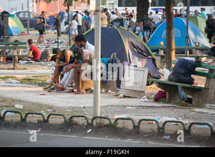 Belgrad, Serbien. 29. August 2015. Migranten provisorischen Lager in Belgrad Bristol Park. Serbien ist eines der wichtigsten Rastplätze für syrische, irakischen und afghanischen Flüchtlinge, die versuchen, Nordeuropa zu erreichen. Stockfoto