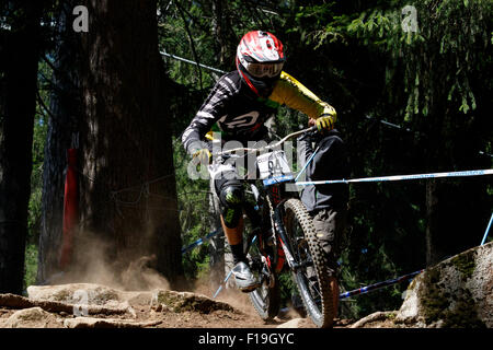 Val Di Sole, Italien - 22. August 2015: BARANEK Rastislav in Aktion während der Herren Elite Downhill letzten WM auf dem MTB Stockfoto