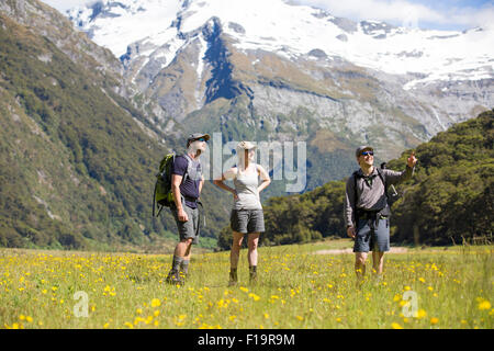 Neuseeland, Südinsel, Mt Aspiring National Park, Sibirien, Gruppe Wandern in Bergen mit gelben Tal Boden Blumen. Stockfoto