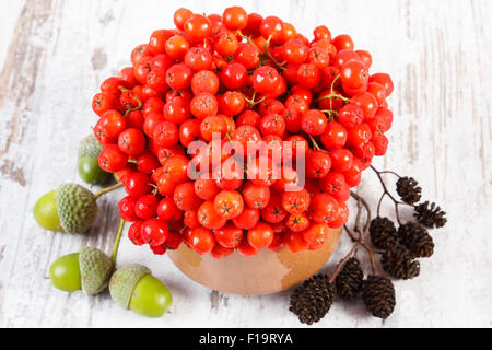 Rosenstrauss rot Herbst Rowan in Glasschale, Erle Kegel und grüne Eicheln auf alten rustikalen hölzernen Hintergrund Stockfoto