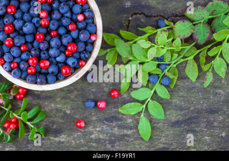 Schüssel Blaubeeren und Preiselbeeren mit ein paar grüne Blätter auf hölzernen Hintergrund Stockfoto