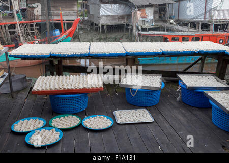 Fisch-Produkte Sekinchan Fischerdorf, Halbinsel Malaysia. Stockfoto