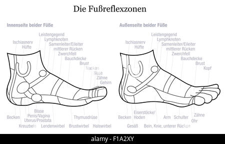 Fuß-Reflexzonenmassage Chart - innen und außen Sicht auf die Füße - mit Beschreibung in deutscher Sprache. Stockfoto