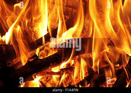 Closeup Flammen von einem Holzfeuer mit brennenden Stämme und Äste Stockfoto