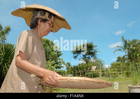 Provinz Loei, Thailand. 15. Oktober 2014. Eine ältere Thai Frau reinigt Kornreis, Provinz Loei, Thailand © Andrey Nekrassow/ZUMA Wire/ZUMAPRESS.com/Alamy Live-Nachrichten Stockfoto