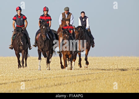 Ingelheim, Deutschland, Familie macht eine Fahrt auf einer gemähten Wiese Stockfoto
