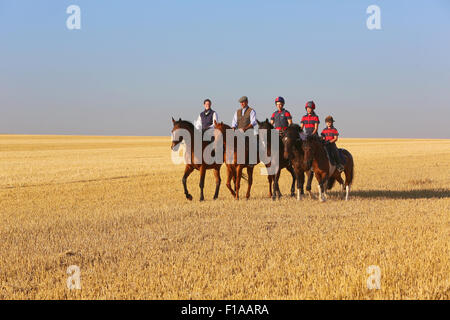 Ingelheim, Deutschland, Familie macht eine Fahrt auf einer gemähten Wiese Stockfoto