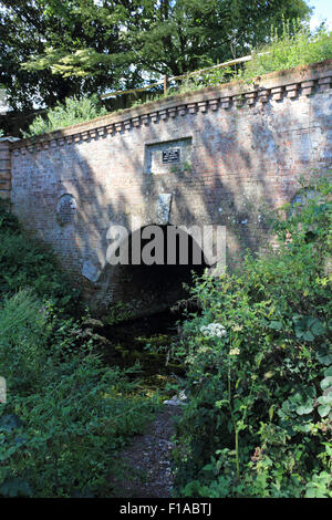 Der Greywell-Tunnel auf der Basingstoke Canal, England UK Stockfoto