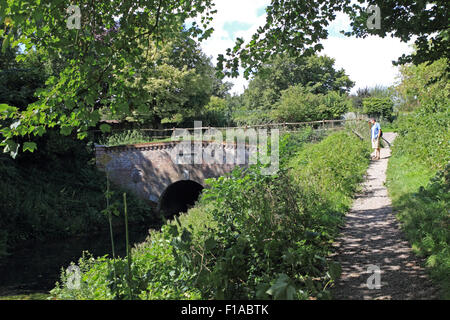 Der Greywell-Tunnel auf der Basingstoke Canal, England UK Stockfoto