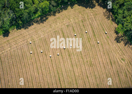 Aerial View Of Harvested Hay Field Stockfoto