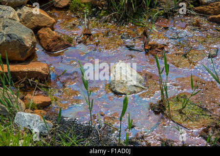 Ölteppich Spill Verschmutzung im Stream Stockfoto