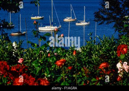 Southend-on-Sea Gärten und das Meer. Essex. England. UK Stockfoto
