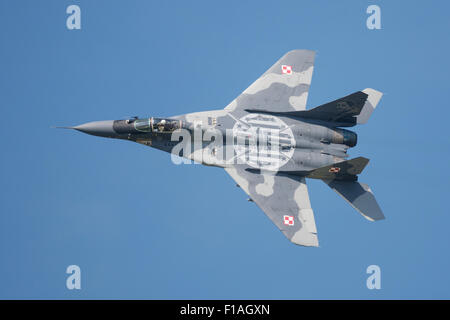 Sliac, Slowakei. 30. August 2015. Flug von Mig 29 Fulcrum der polnischen Luftstreitkräfte bei SIAF Airshow in Sliac, Slowakei am 30. August 2015 Credit: Lubos Paukeje/Alamy Live News Stockfoto