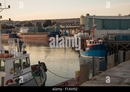 Teignmouth 2015. Der Hafen und die Docks mit einem Trawler Fischen fangen am Kai Fisch entladen. Stockfoto