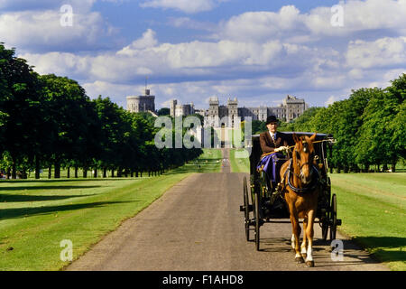 Pferd und Kutsche mitfahren Long Walk, Windsor Great Park. Windsor. Berkshire. England Stockfoto