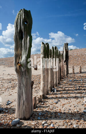 Alte hölzerne Meer Abwehr, wellenbrecher Buhnen an einem sonnigen Tag am Hafen in der nähe von Winchelsea Beach Rye, East Sussex, England, Großbritannien Stockfoto