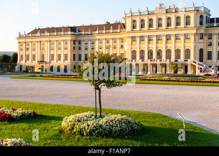 Schloss Schönbrunn, Wien, Österreich an einem Sommerabend Stockfoto