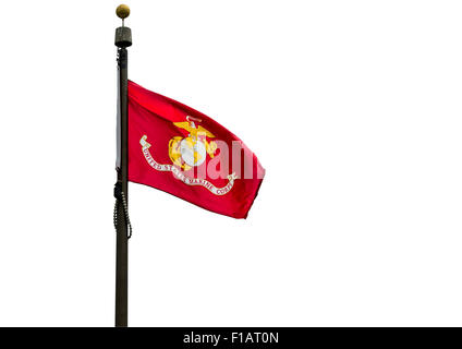 US Marine Corps Flagge auf einem weißen Hintergrund. Stockfoto