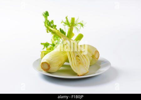 frische Fenchelknollen auf weißen Teller Stockfoto