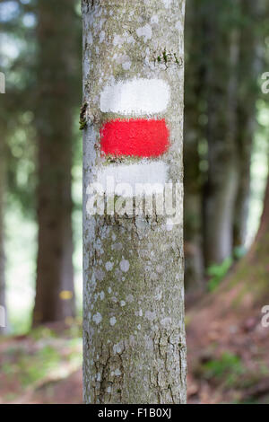 Zu Fuß Weg einfach Stufensymbol auf Baumrinde Stockfoto