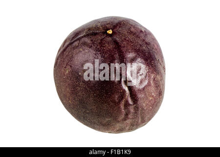 Nahaufnahme einer ganzen Maracuja (Passionsfrucht, lila Granadilla (Passiflora Edulis)) isoliert auf weißem Hintergrund. Stockfoto
