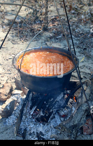 Gulasch in einem Topf auf dem Feuer kochen. Stockfoto