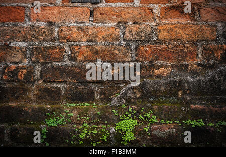 Alten Grunge Brick Wand dunkler Rahmen Hintergrund Stockfoto