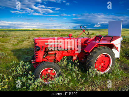 Roten Oldtimer-Traktor, Farmall D-217, Oldtimer, in einem Feld, Island Stockfoto