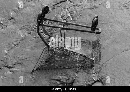 Shopping Trolley in den Schlamm und Themse bei Ebbe in East London, England, Vereinigtes Königreich Stockfoto