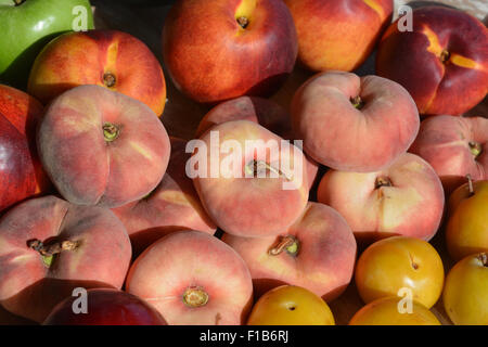 Frisches Obst.  Gelbe Pflaumen, Paraguaya Pfirsiche, Nektarinen, Apfel Stockfoto