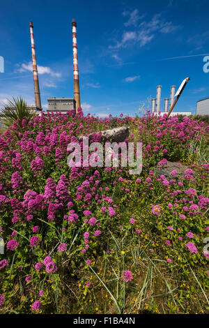 Die zwei Schornsteine der Poolbeg Elektrizität Kraftwerk auf Dublins Nordwand, Dublin, Irland. Stockfoto