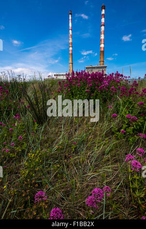 Die zwei Schornsteine der Poolbeg Elektrizität Kraftwerk auf Dublins Nordwand, Dublin, Irland. Stockfoto