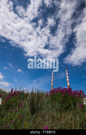 Die zwei Schornsteine der Poolbeg Elektrizität Kraftwerk auf Dublins Nordwand, Dublin, Irland. Stockfoto