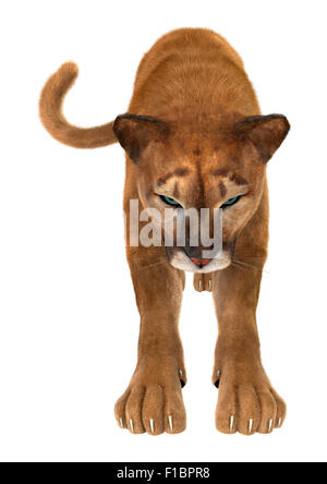 Digitalen 3D-Render eine Großkatze PUMA isoliert auf weißem Hintergrund Stockfoto