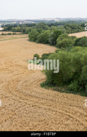 Ein Gerstenfeld in Oxfordshire UK aus einem Heißluftballon betrachtet Stockfoto