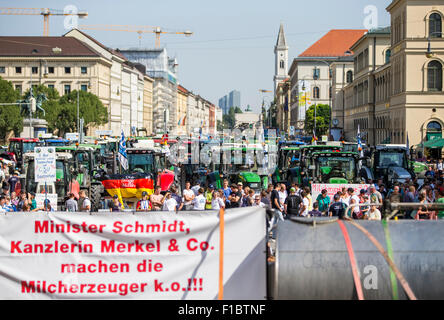 Traktoren stehen in Ludwigsstrasse, während Hunderte von Bauern gegen die Milch Preisverfall in München, 1. September 2015 zu protestieren. Ein Banner liest "Ministerin Schmidt, Kanzlerin Merkel & Co. Machen Die Milcherzeuger k.o.!!!" ("Pastor Schmidt, Bundeskanzlerin Merkel & Co. knock out die Milchbauern!!!") Foto: MARC Müller/dpa Stockfoto