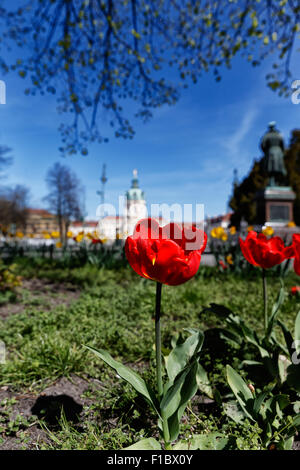 Berlin, Deutschland, Tulpen auf der zentralen Promenade von der Schlossstraße Stockfoto