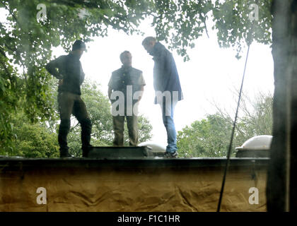 Duisburg, Deutschland. 1. Sep, 2015. Mitarbeiter der Duisburger Zoo überprüfen Sie das Dach des Hauses "Affe" in Duisburg, Deutschland, 1. September 2015. Am Vortag zwei Orang-Utans im Zoo entkommen, musste man erschossen werden. Foto: ROLAND WEIHRAUCH/Dpa/Alamy Live News Stockfoto